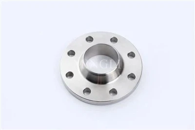 Stainless Pipe Flanges